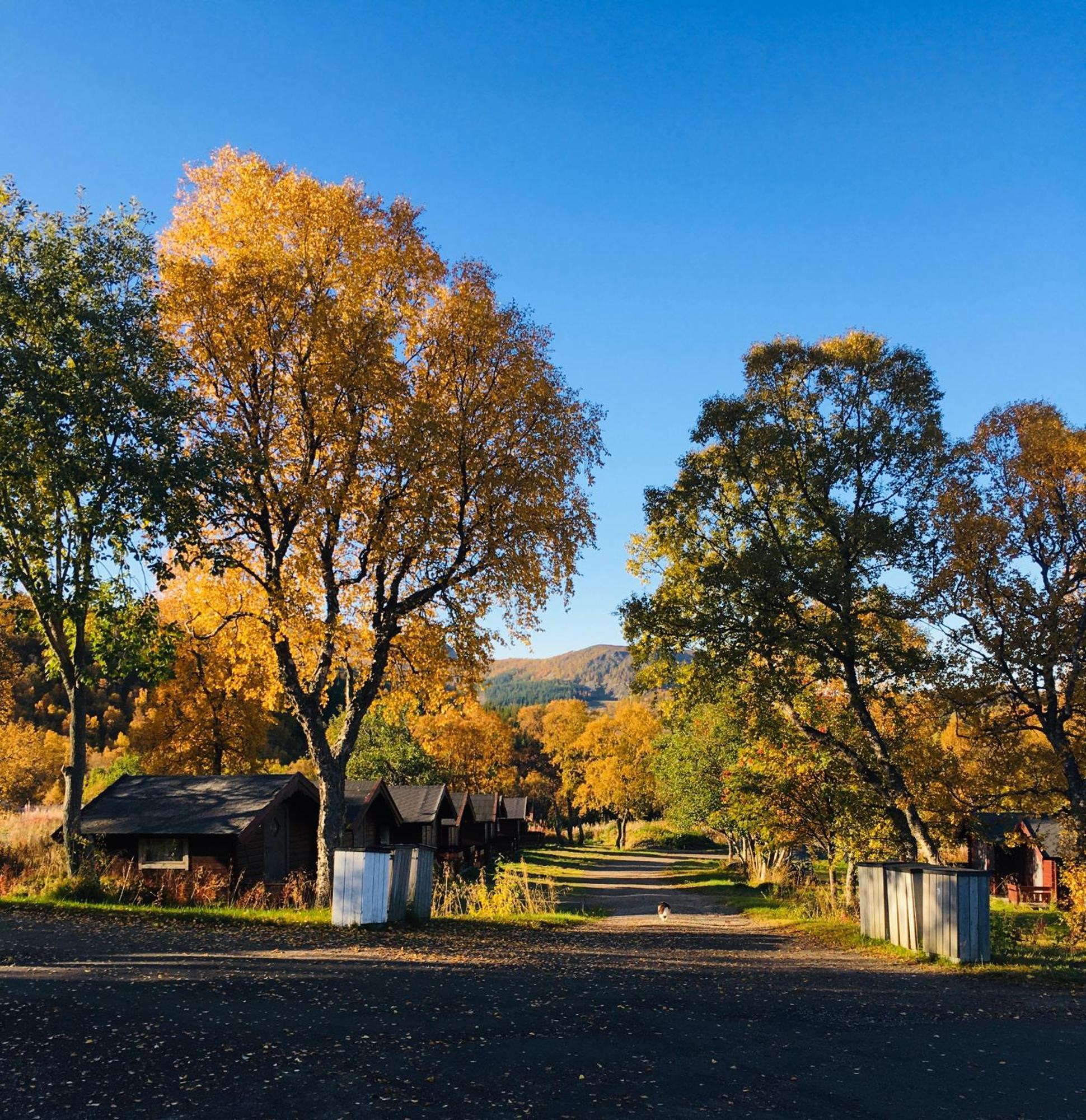 Og As * Sortland